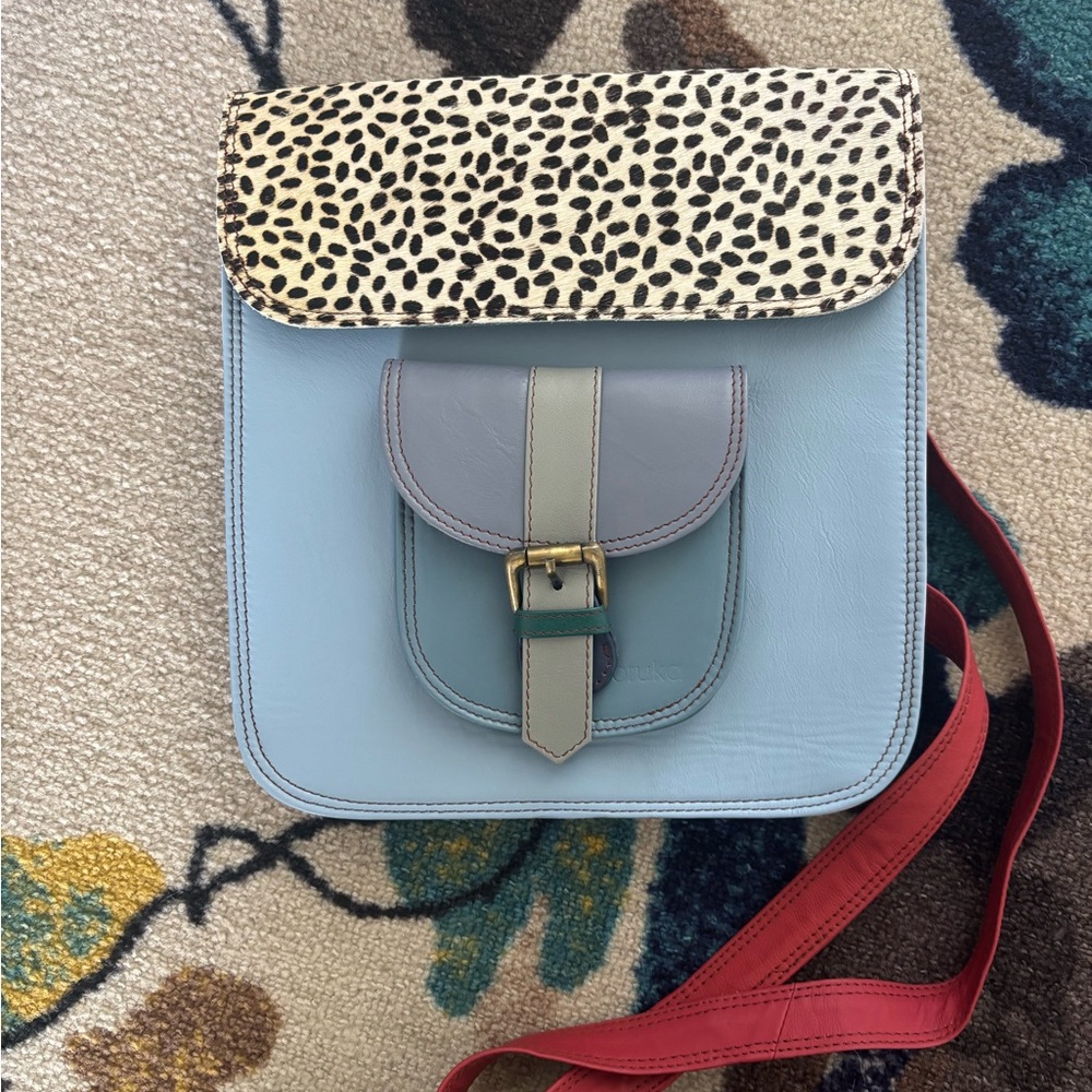 Stylish Blue and Red Women's Bag